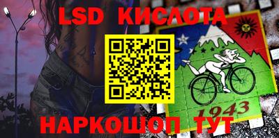 амф Сланцы