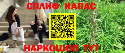 стафф Славгород