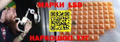 стафф Славгород