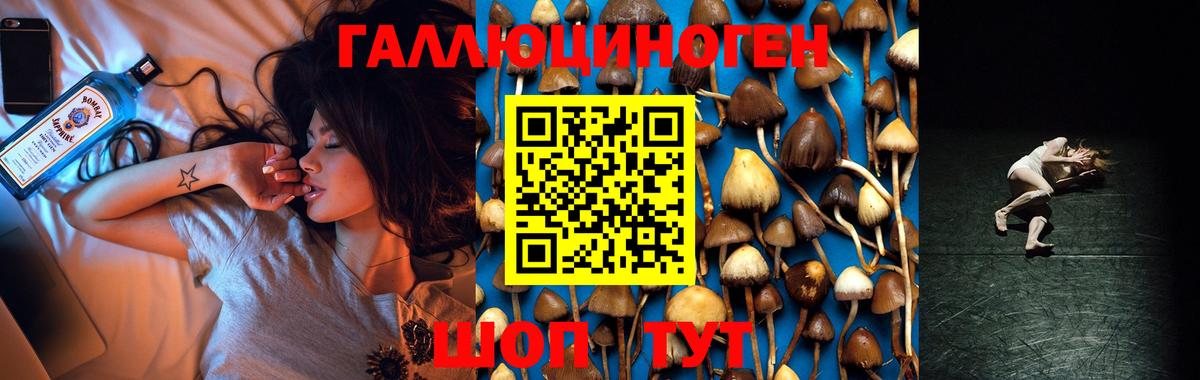 Псилоцибиновые грибы мицелий  Галлюциногенные грибы прущие грибы  Мыски  Вход с VPN 